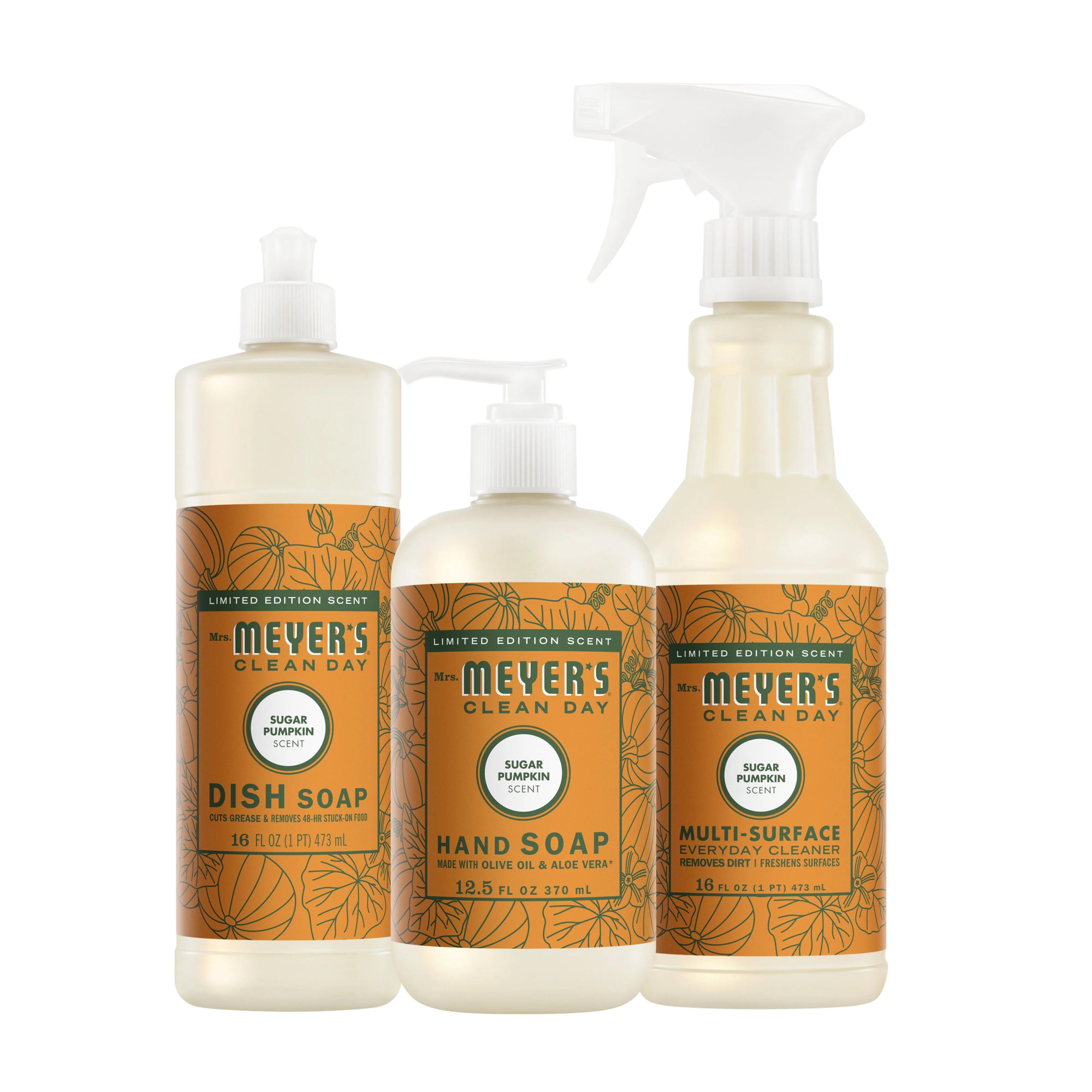 Sugar Pumpkin Kitchen Basics Set